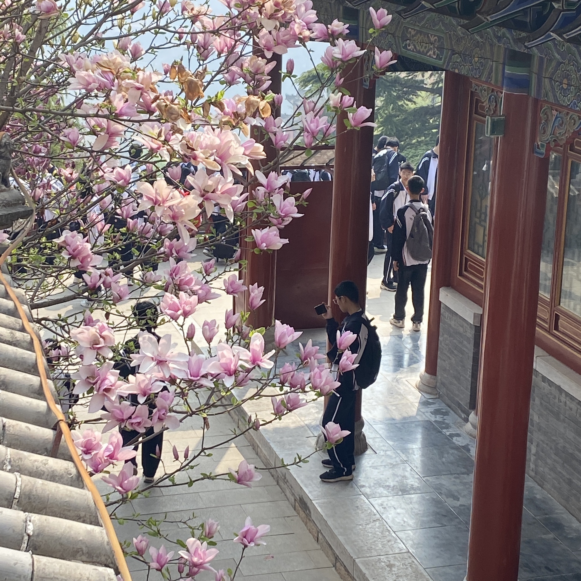 昆玉山景区旅行图片 2