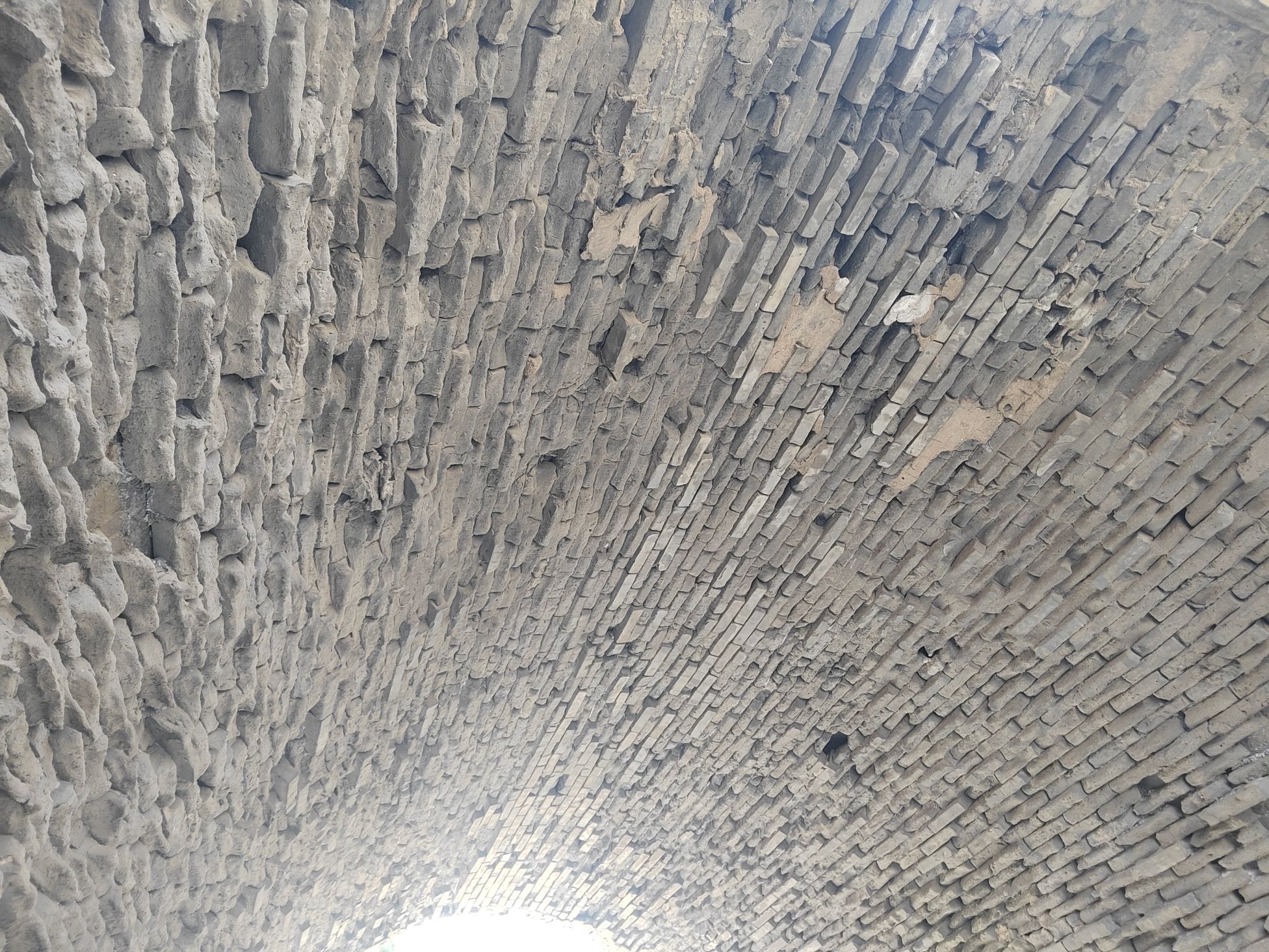 文安古城墙旅行图片 3