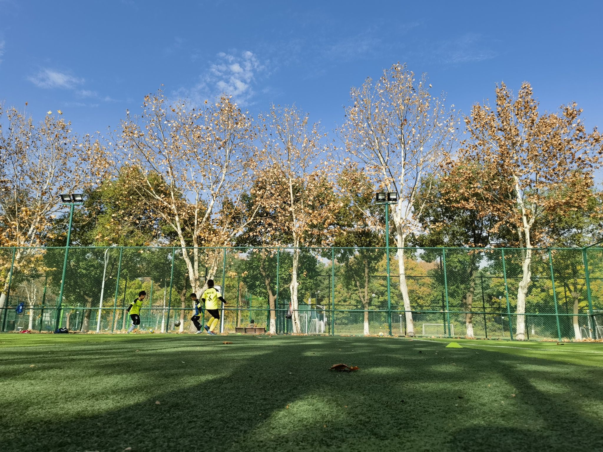 场地封面-奥体中心足球场