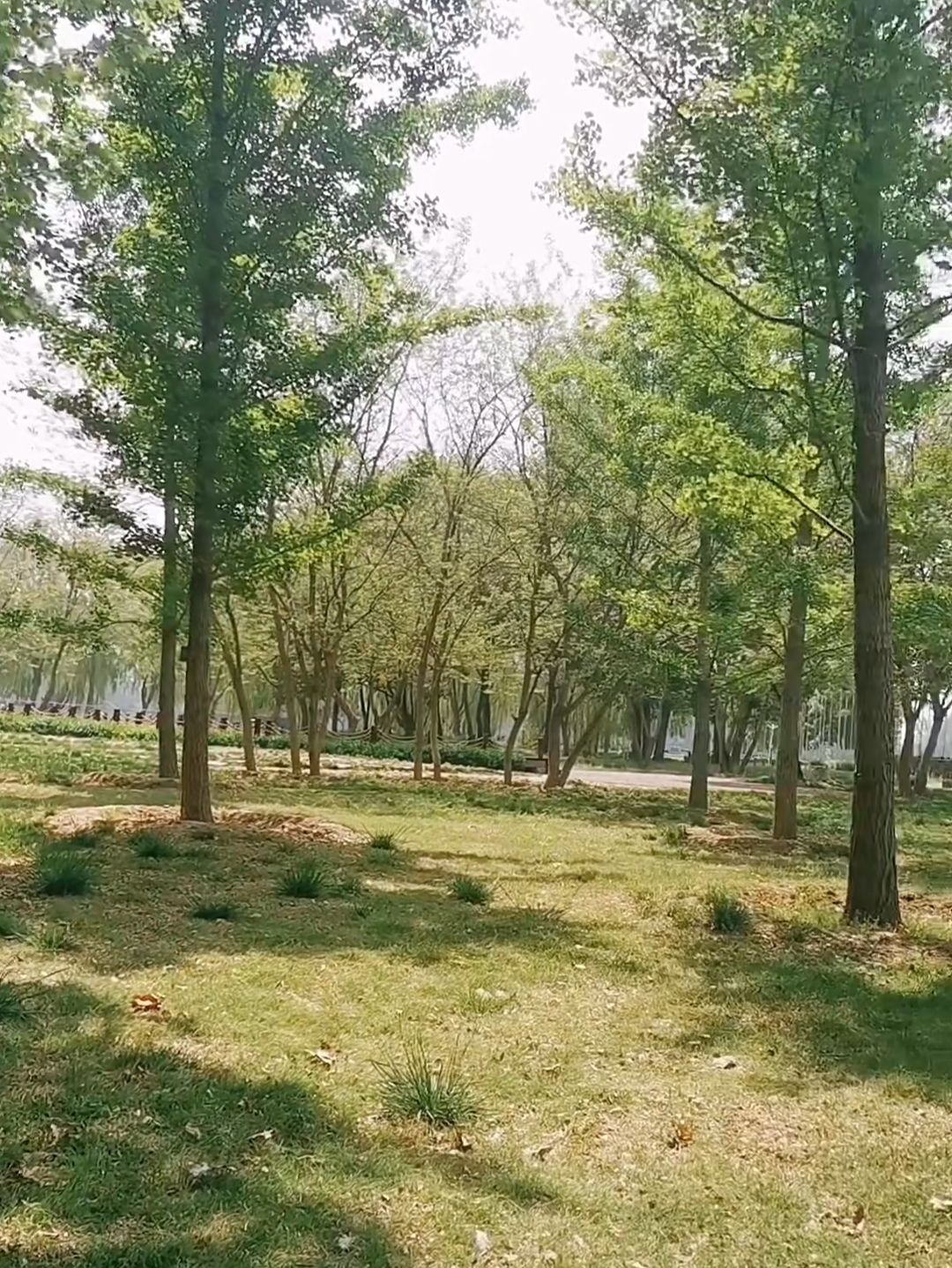 黄河小街湾旅行图片 2