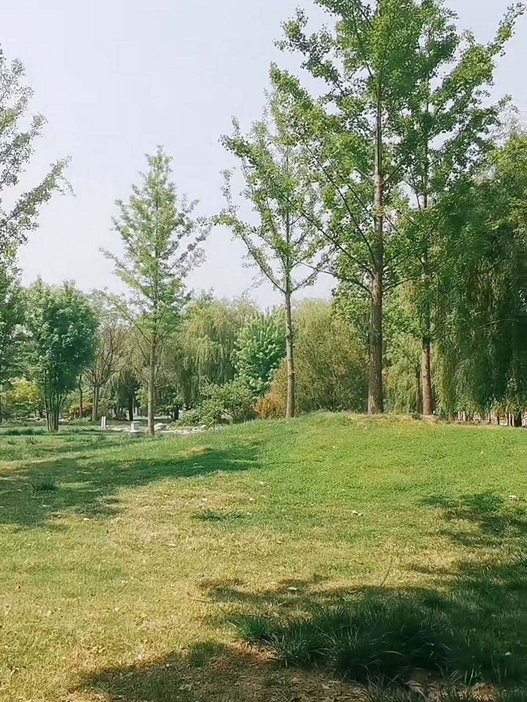 黄河小街湾旅行图片 3