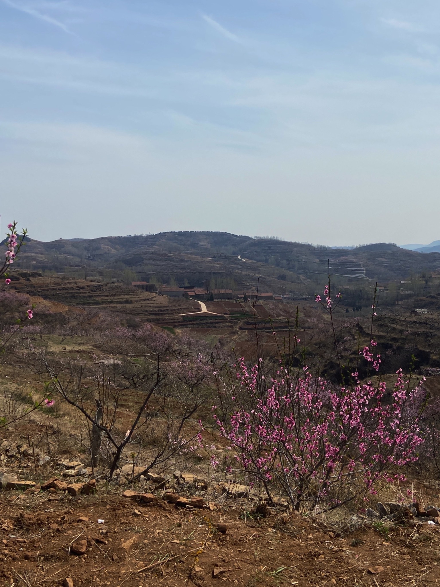 桃花山旅行图片 3
