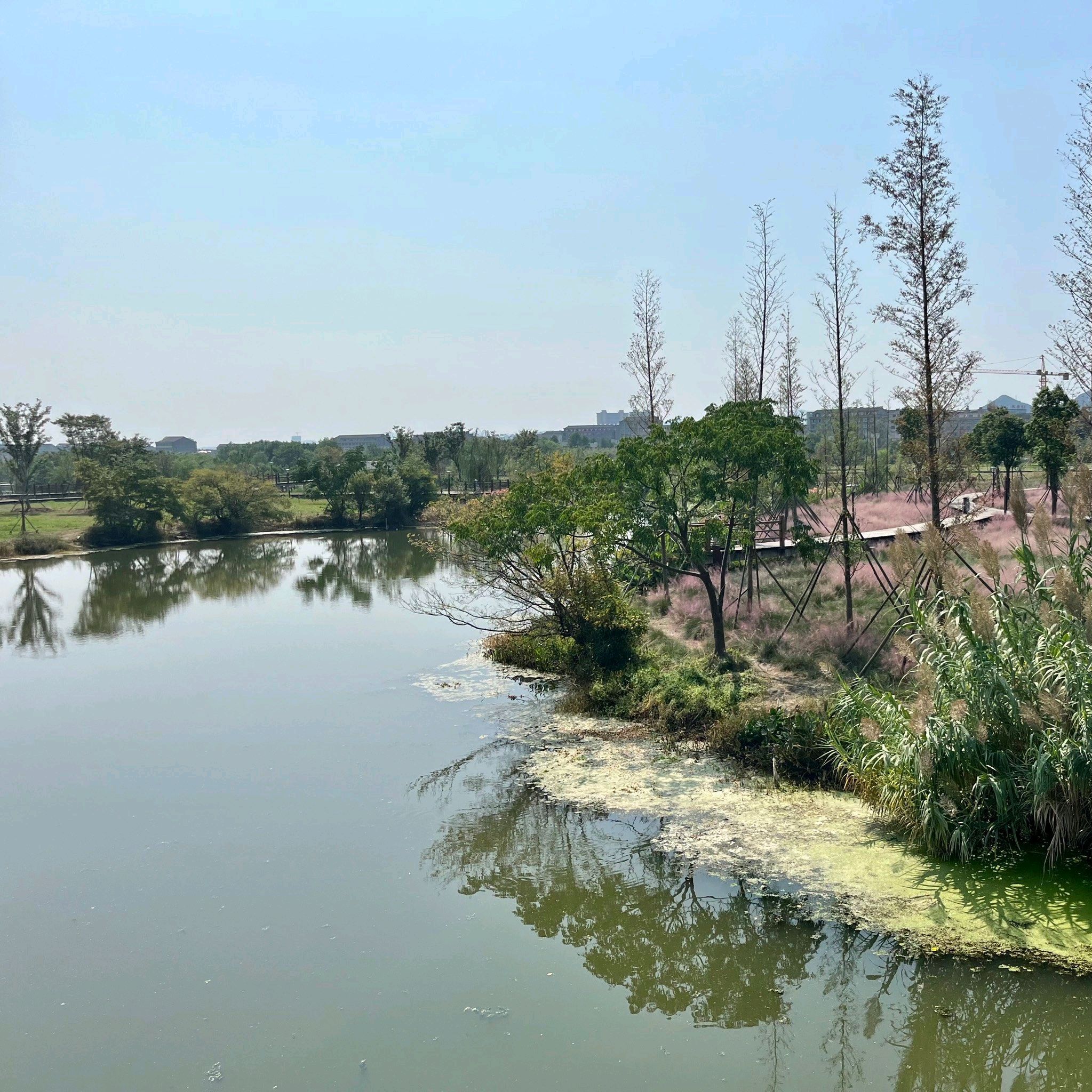 八份湿地公园旅行图片 2