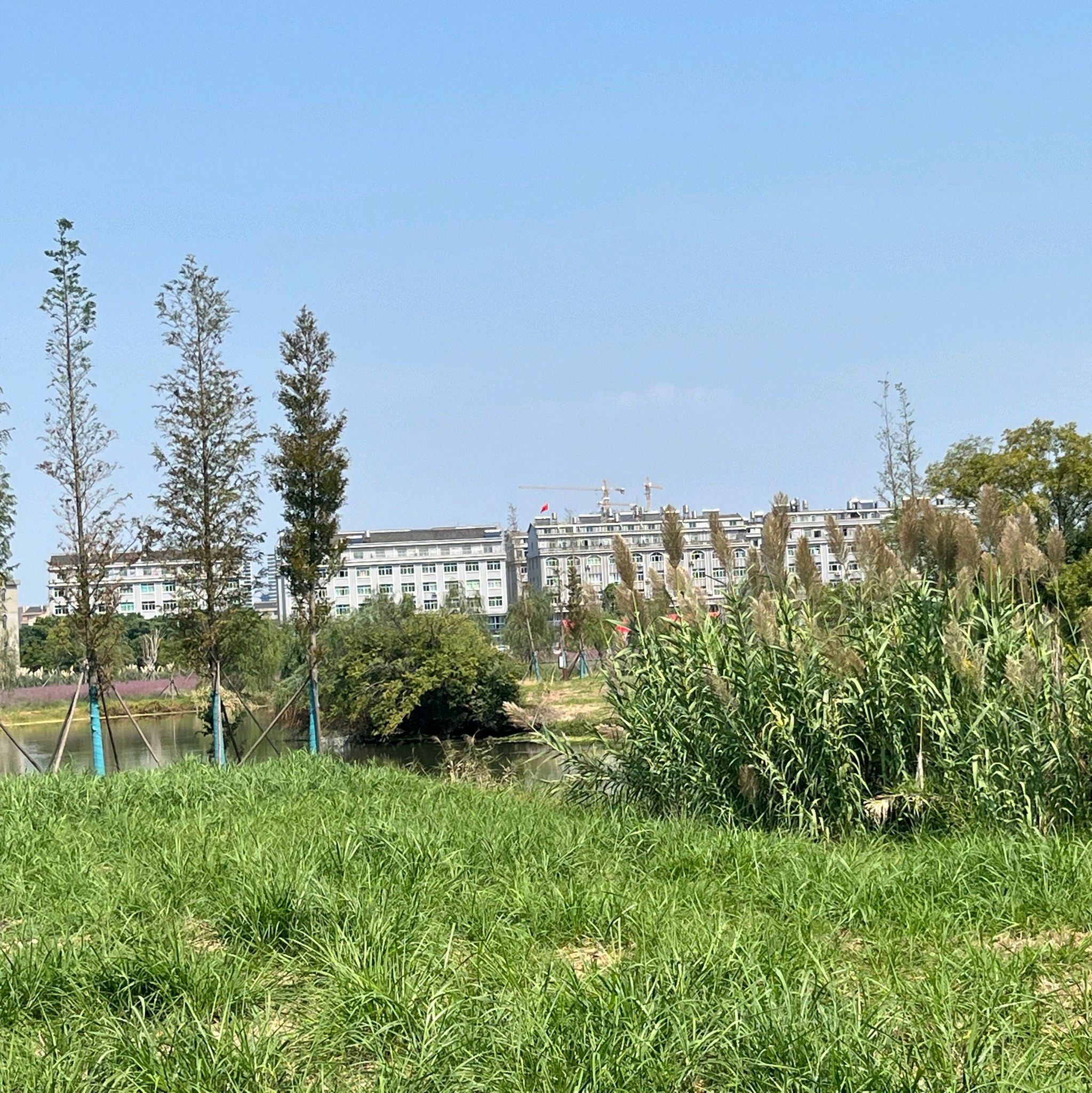 八份湿地公园旅行图片 3