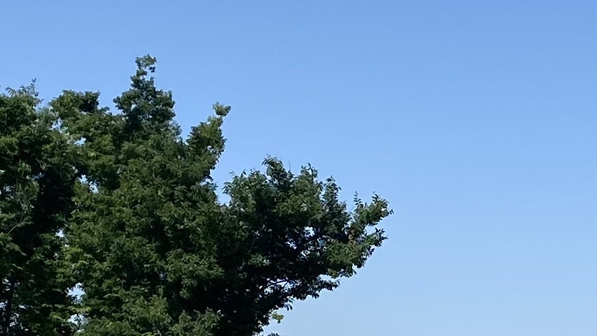 八份湿地公园旅行图片 3
