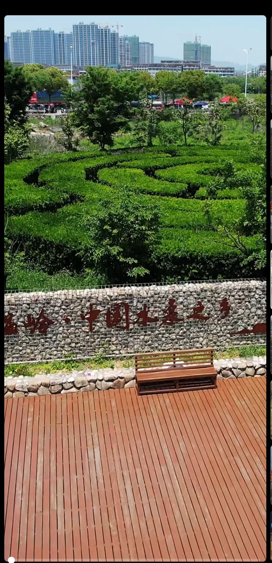 八份湿地公园旅行图片 1