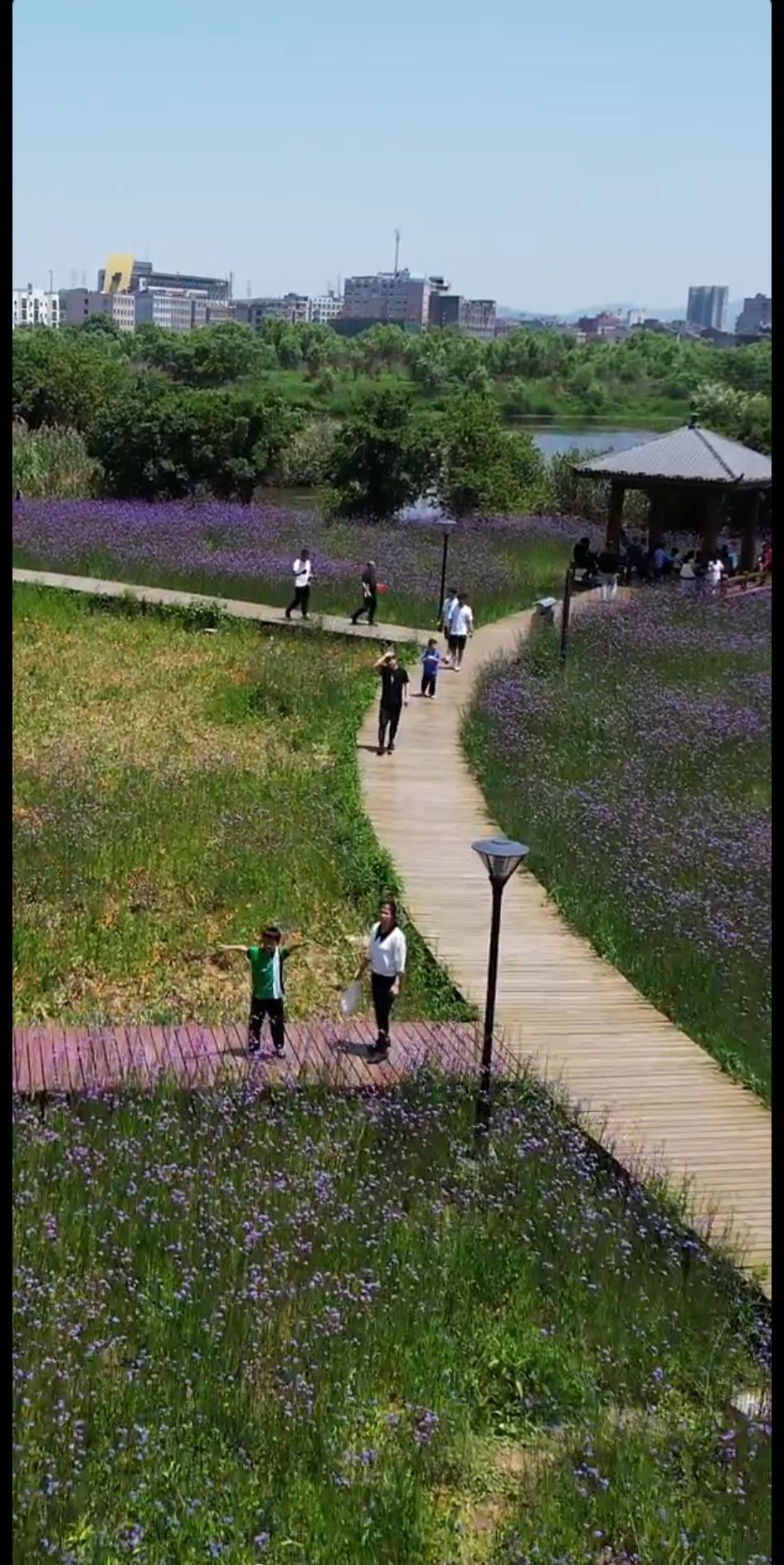 八份湿地公园旅行图片 3