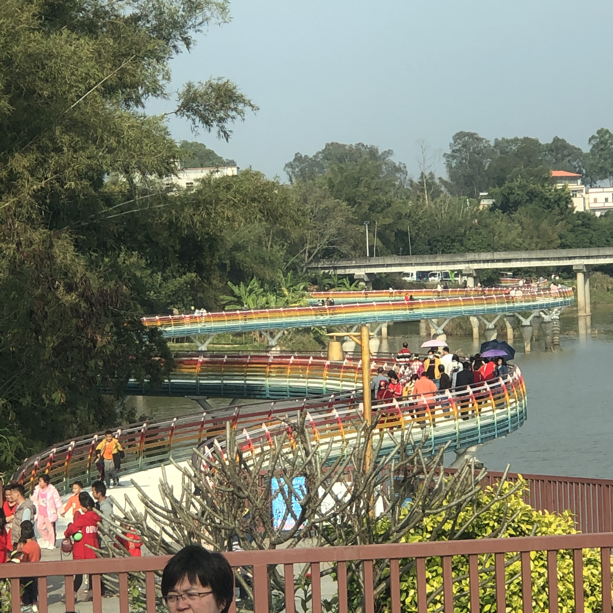 信宜市彩虹桥旅行图片 1