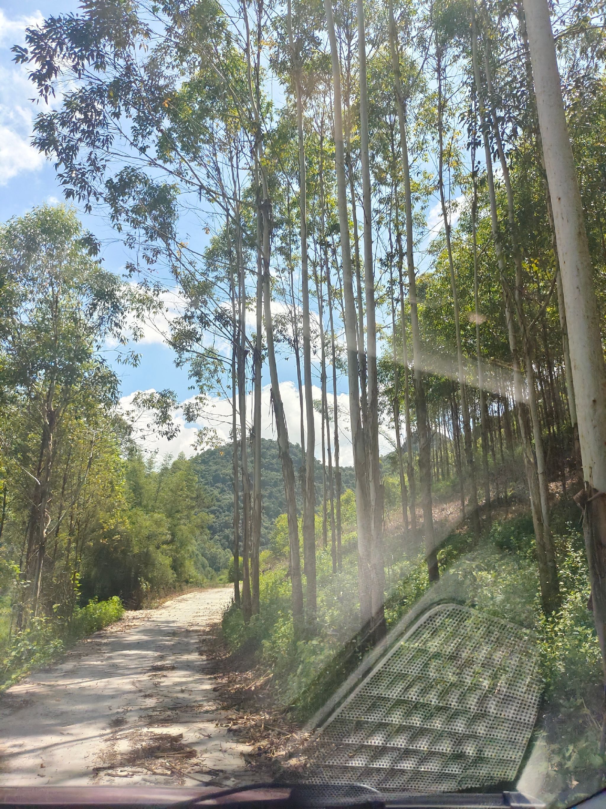 水牛洞旅行图片 1