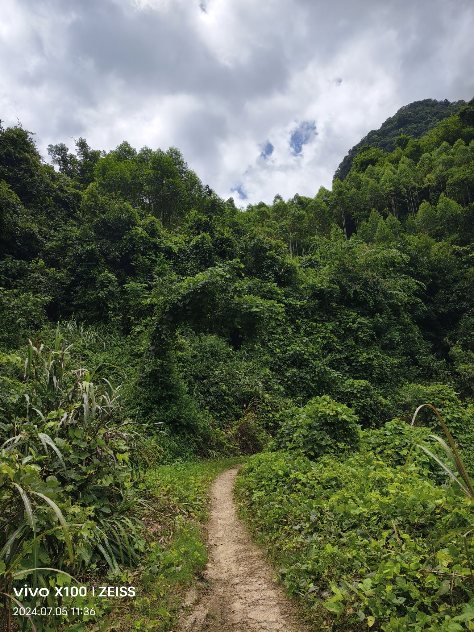 水牛洞旅行图片 3