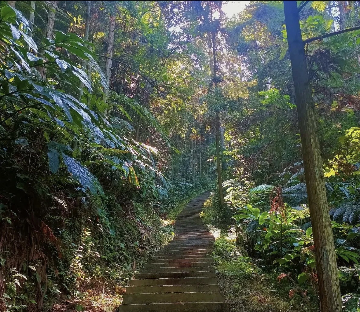 五岭森林公园旅行图片 2