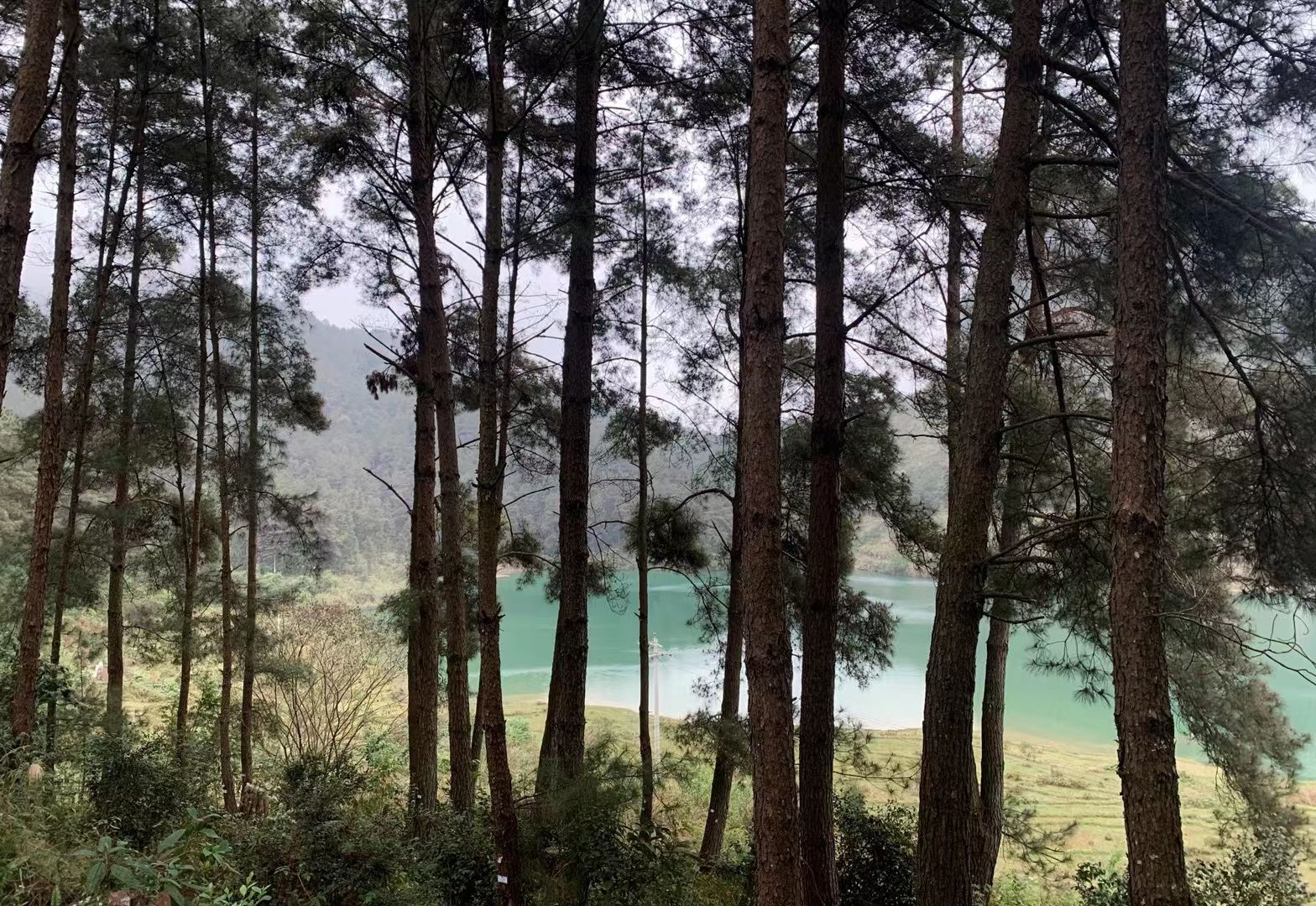 五岭森林公园旅行图片 2