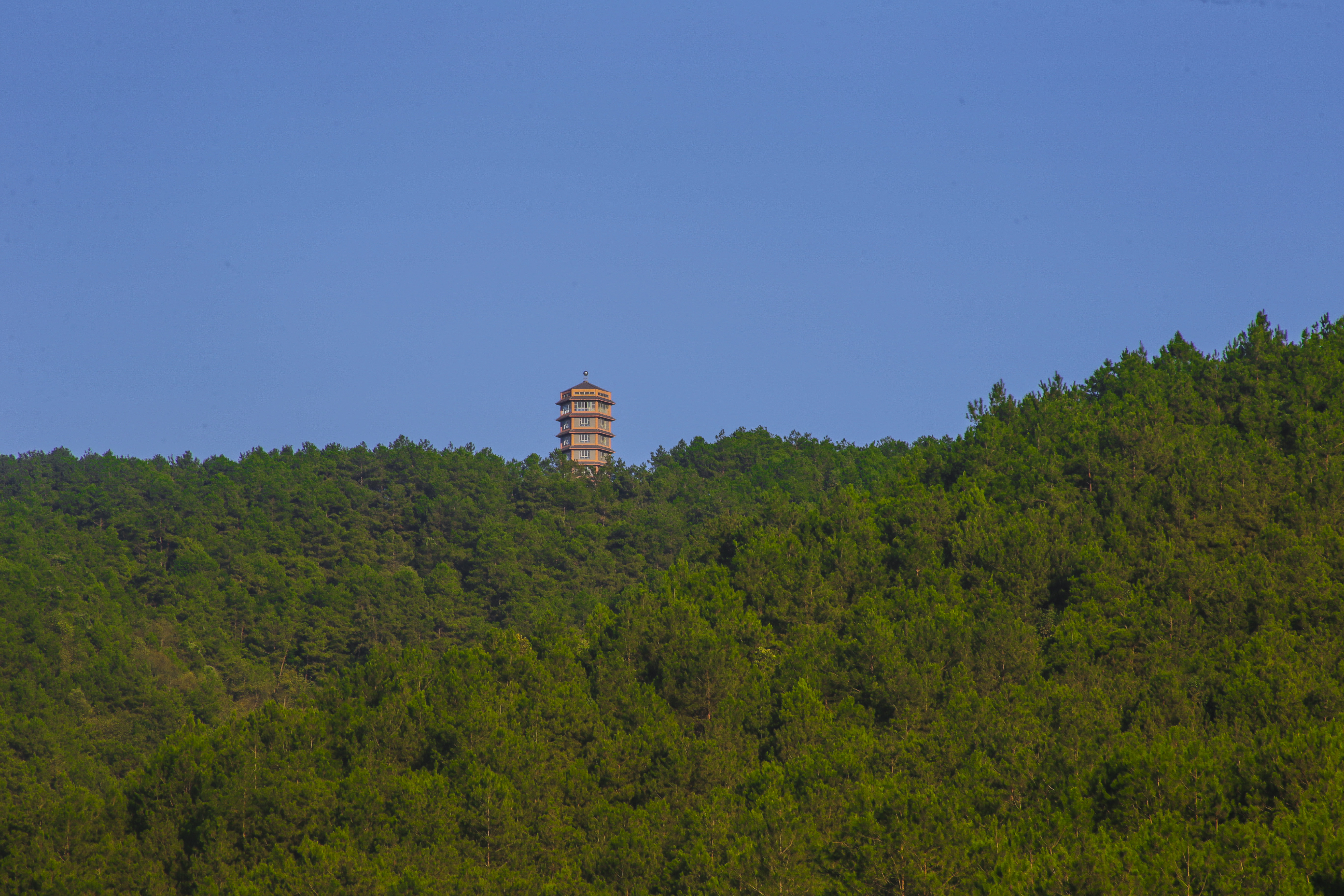 五岭森林公园旅行图片 3