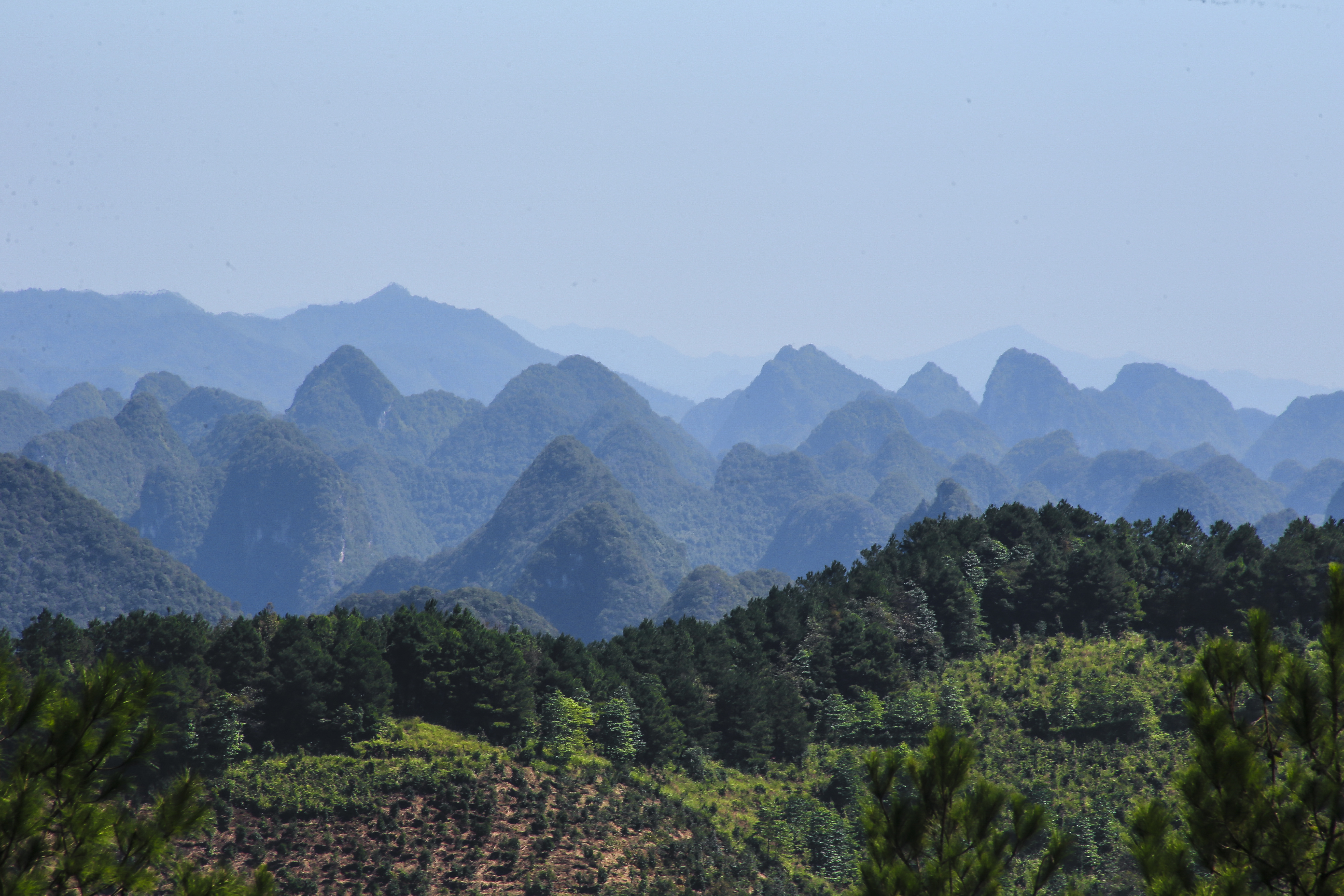 五岭森林公园旅行图片 1