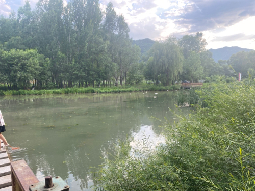 青龙河湿地公园旅行图片 1