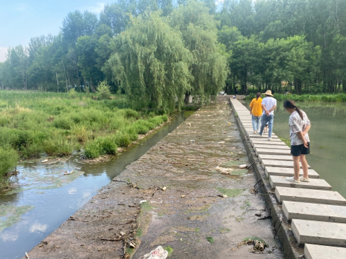 青龙河湿地公园旅行图片 2
