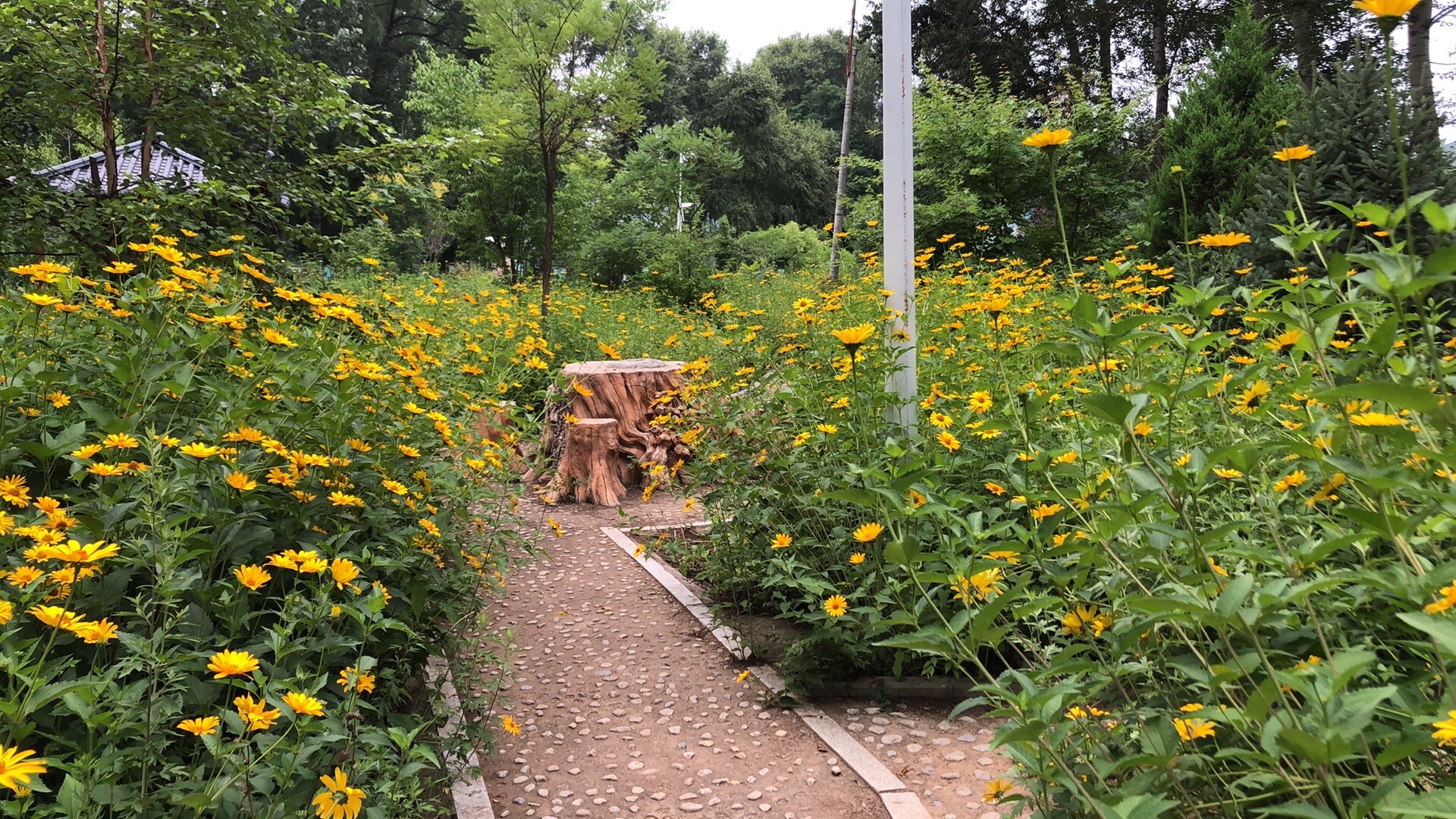 青龙河湿地公园旅行图片 2
