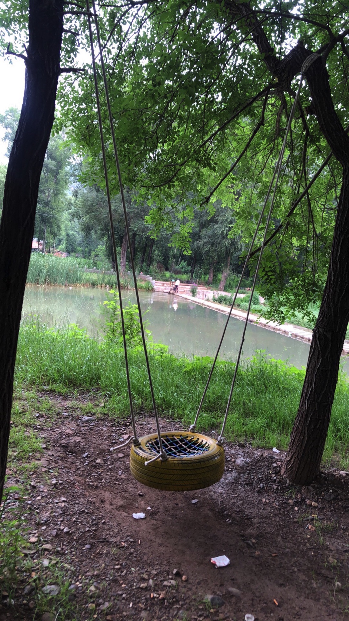 青龙河湿地公园旅行图片 1