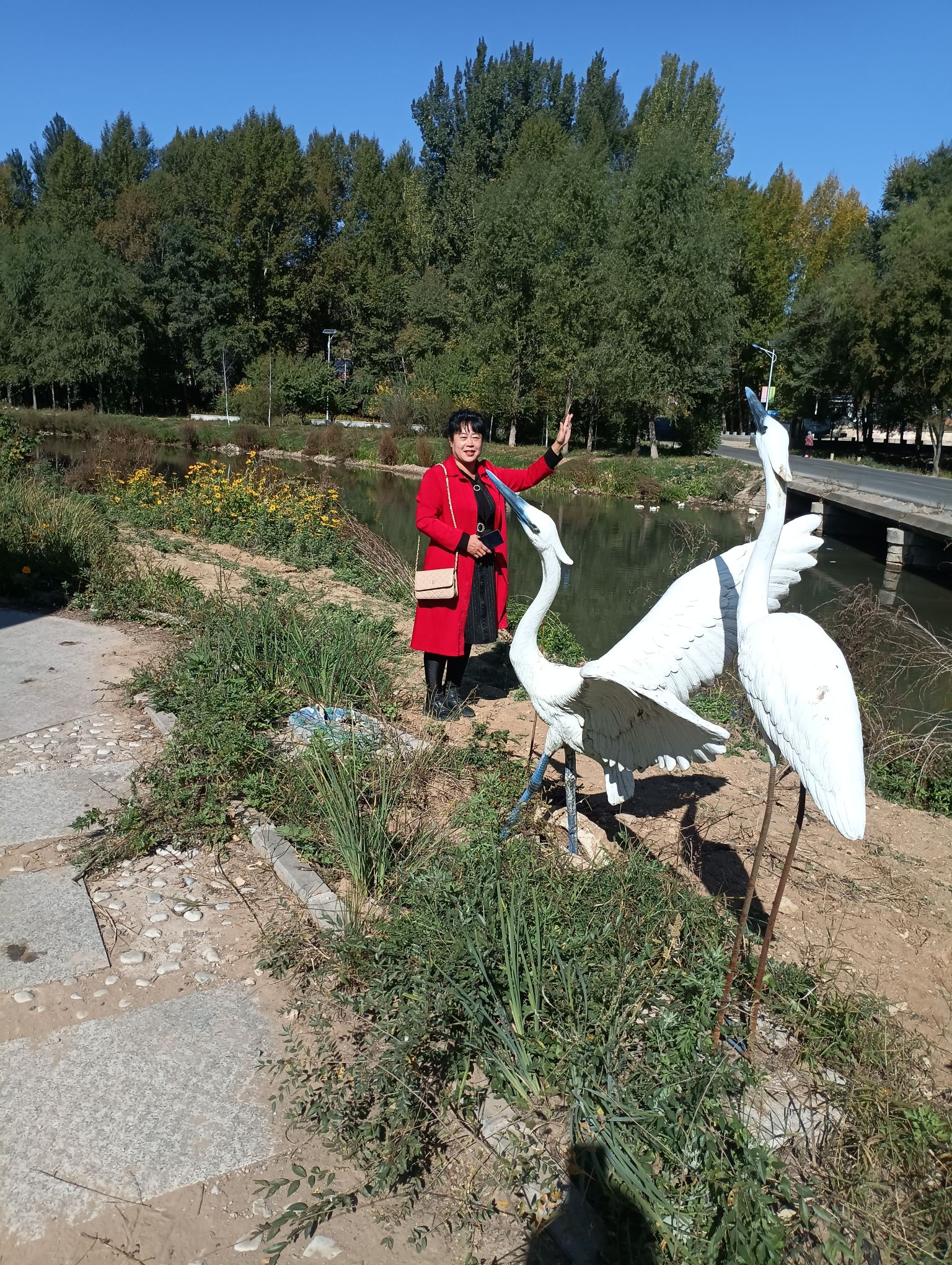 青龙河湿地公园旅行图片 3