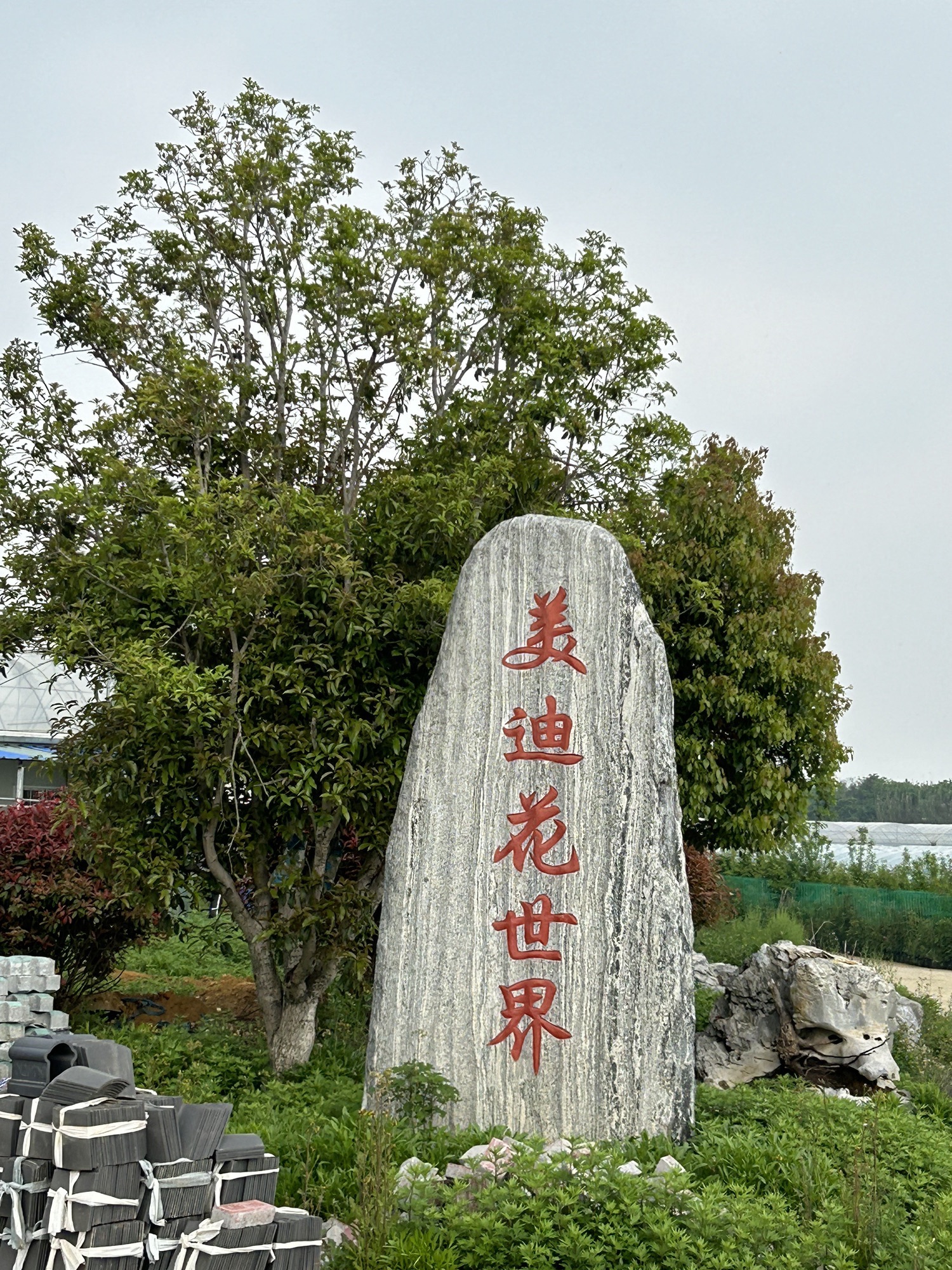 美迪花世界