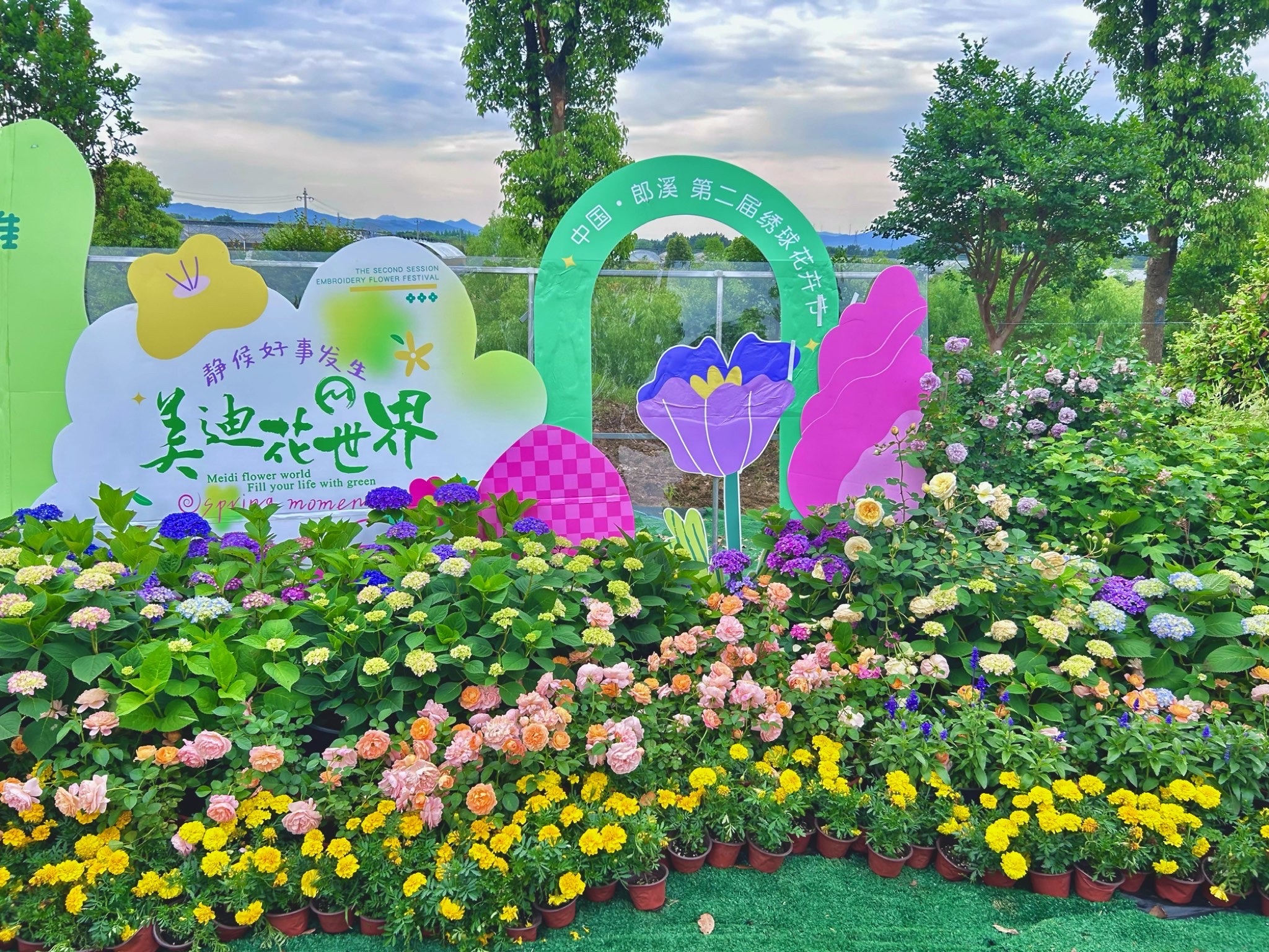 美迪花世界