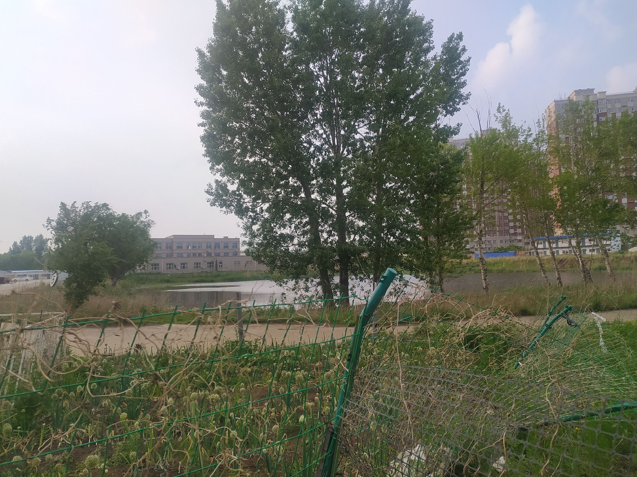 红豆湖公园