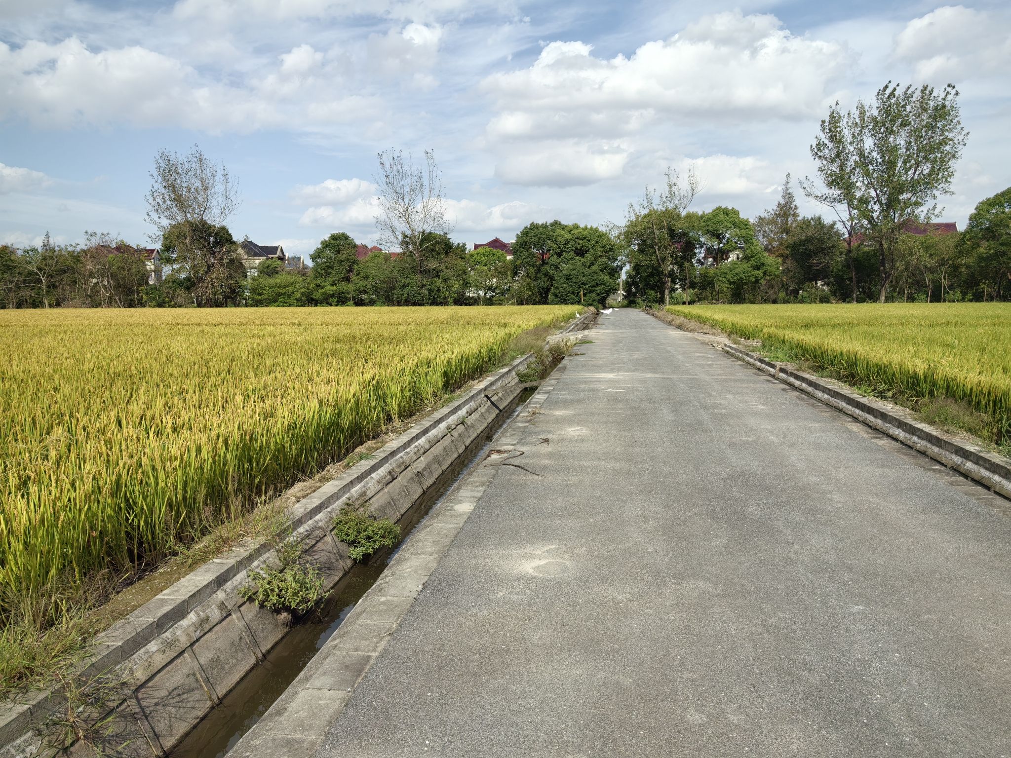 耕织园旅行图片 2