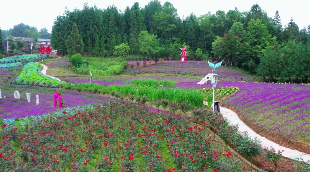 森林王国旅游度假区旅行图片 2