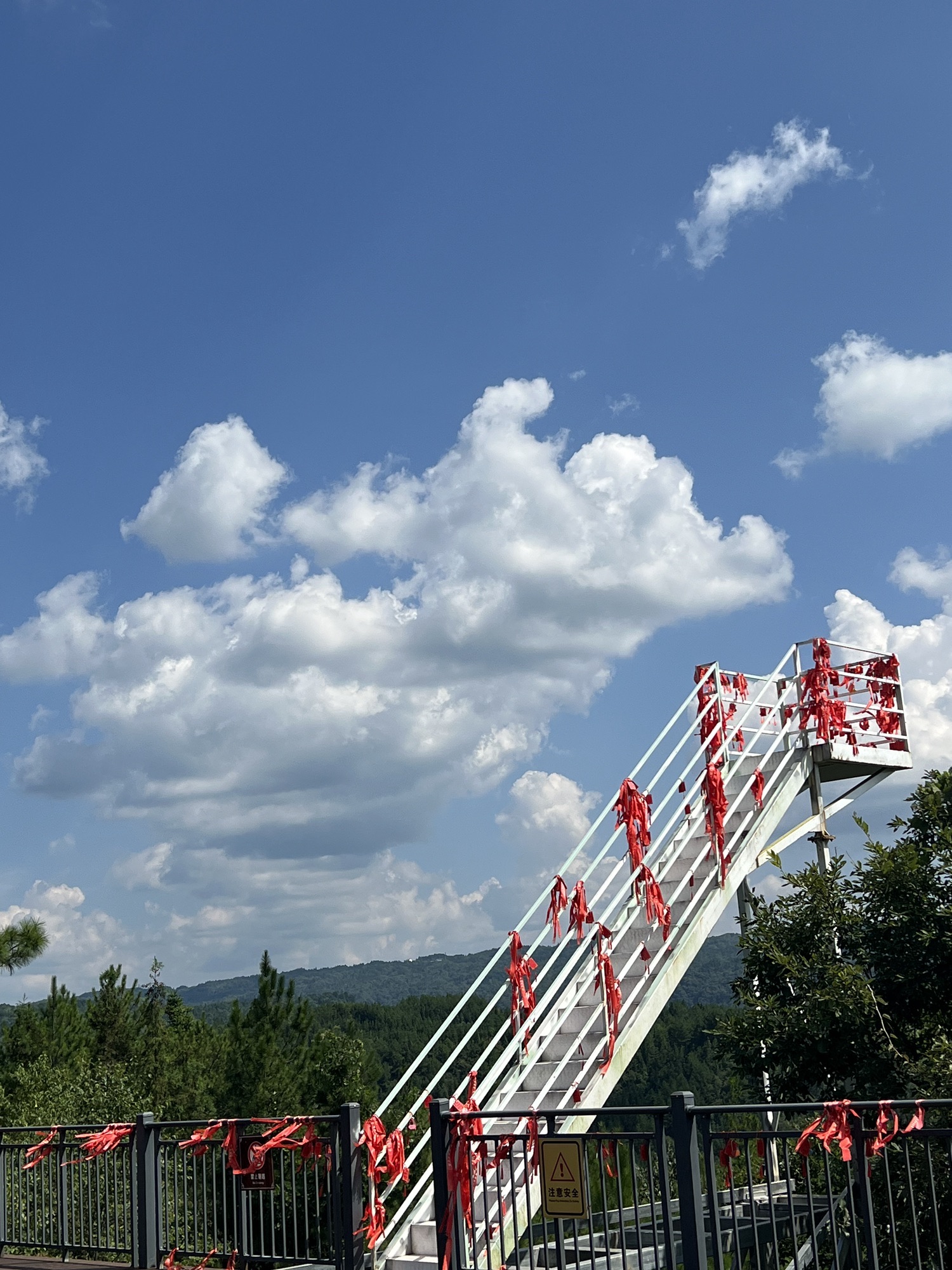 森林王国旅游度假区旅行图片 3