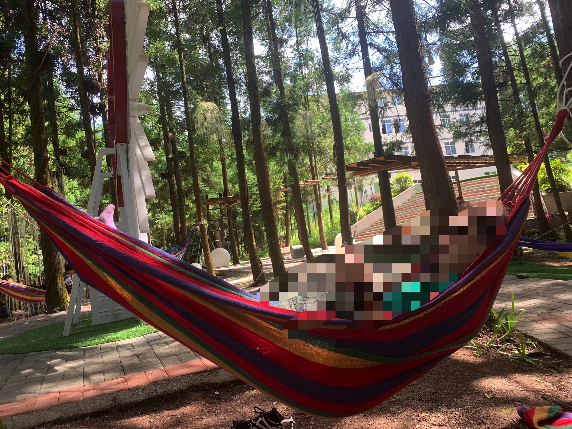 森林王国旅游度假区旅行图片 2