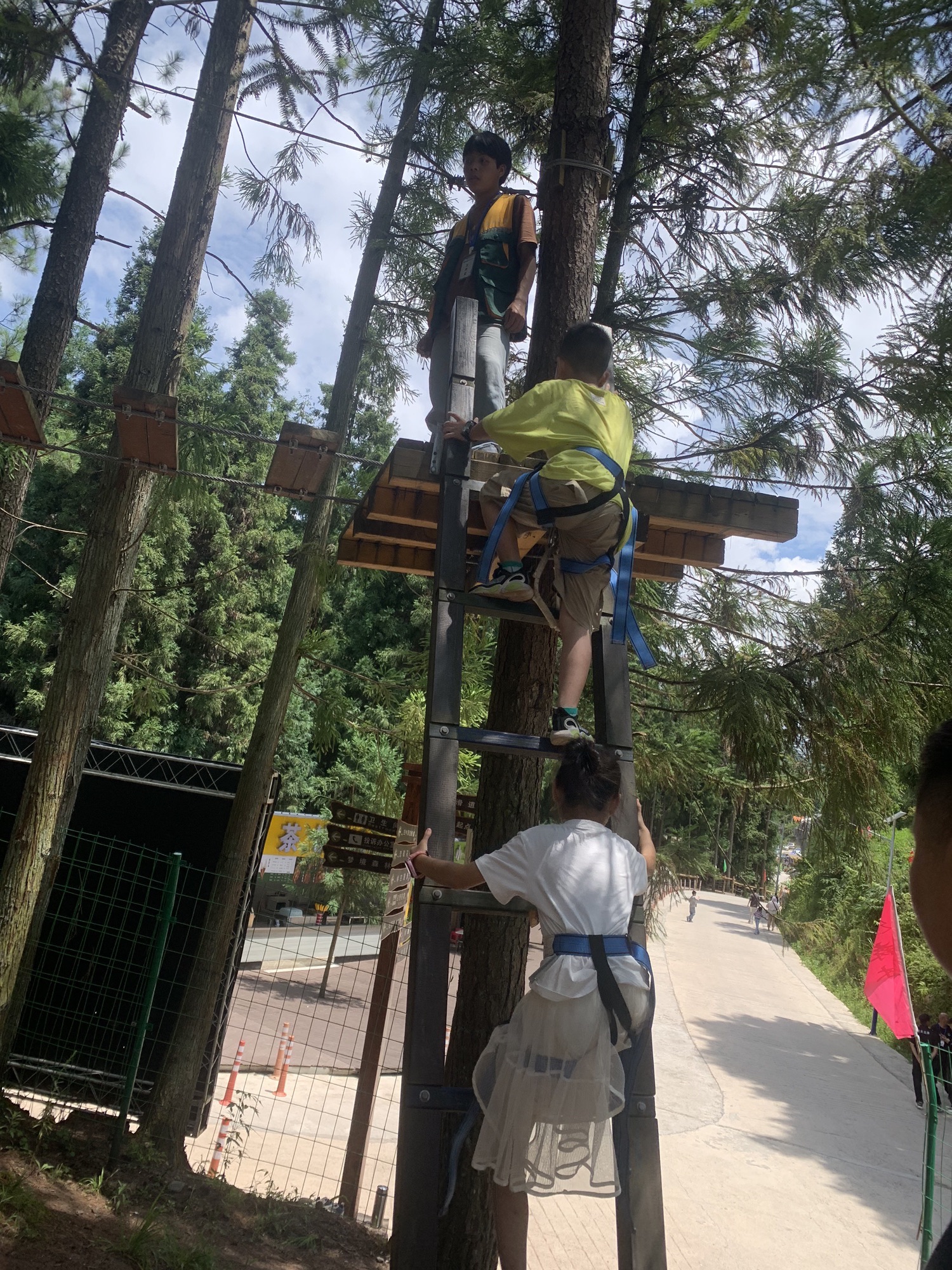 森林王国旅游度假区旅行图片 3