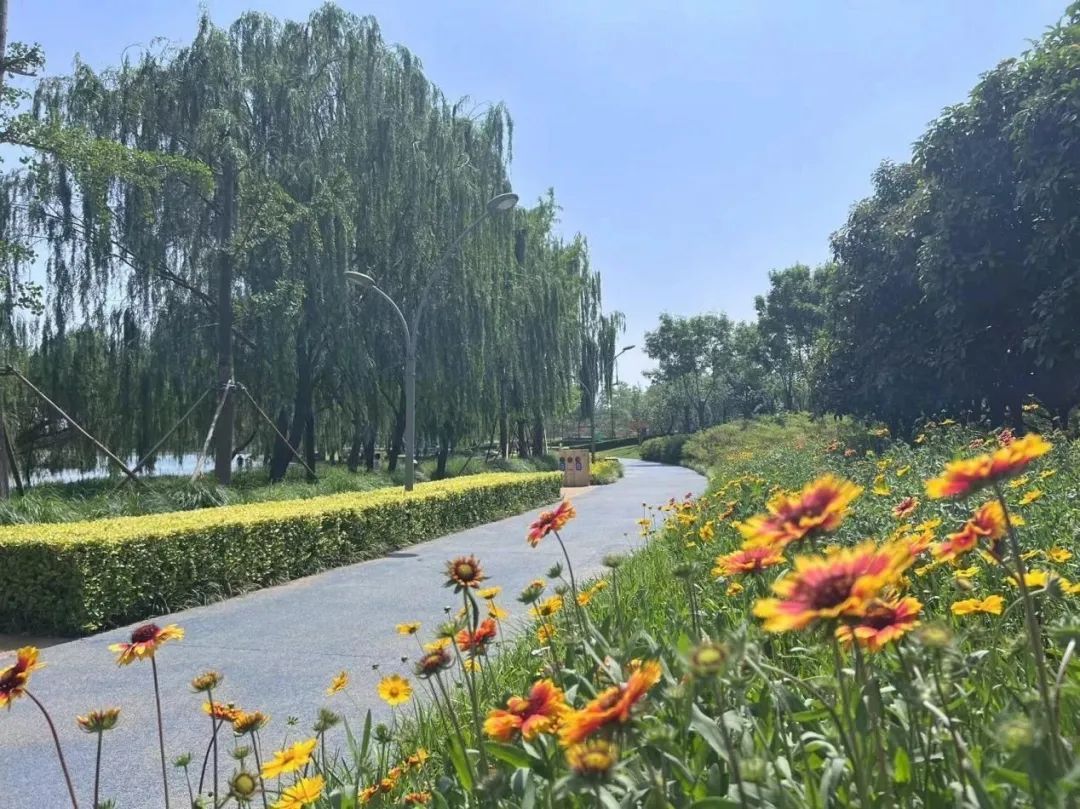郑州龙湖湿地公园旅行图片 1