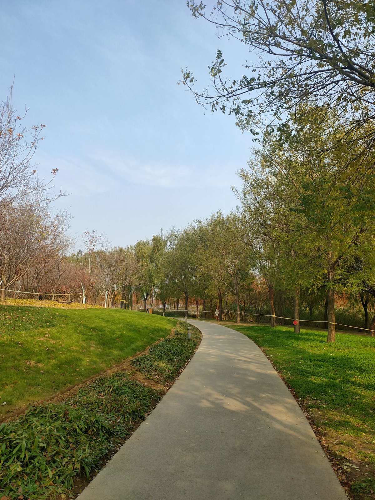 郑州龙湖湿地公园旅行图片 1