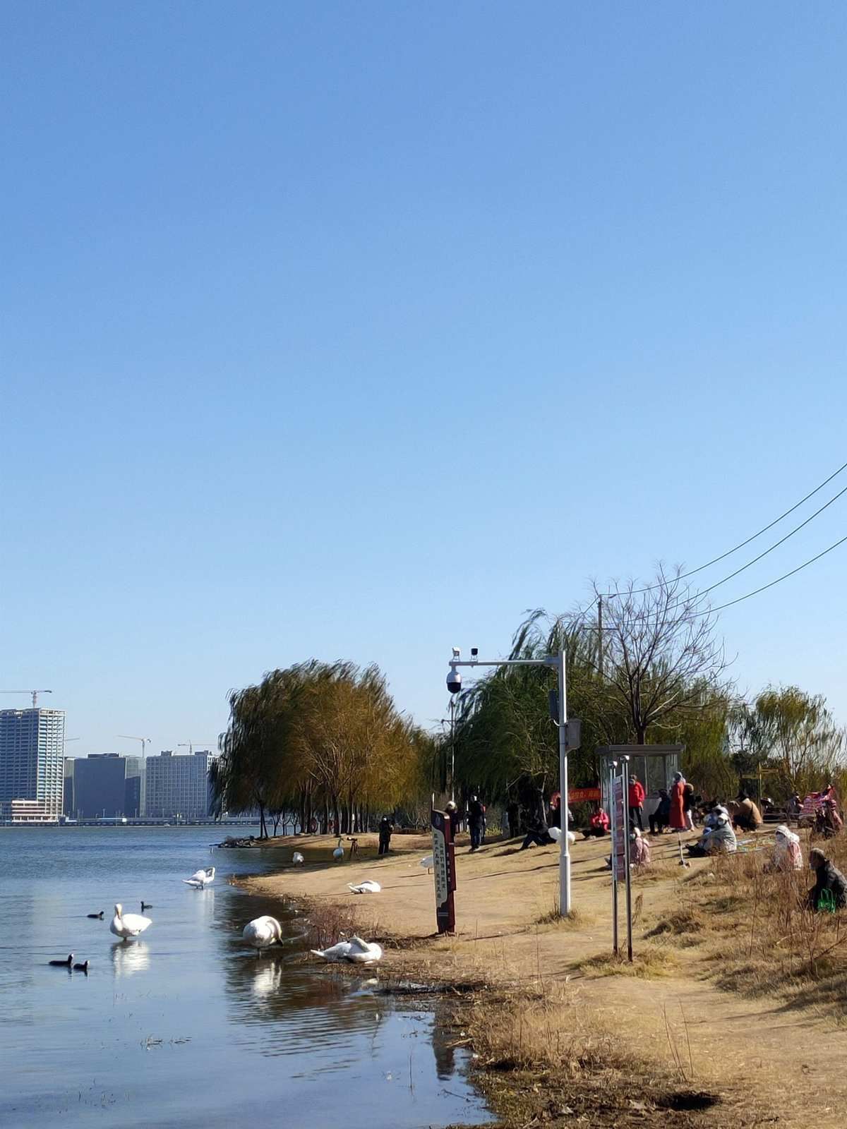 郑州龙湖湿地公园旅行图片 2