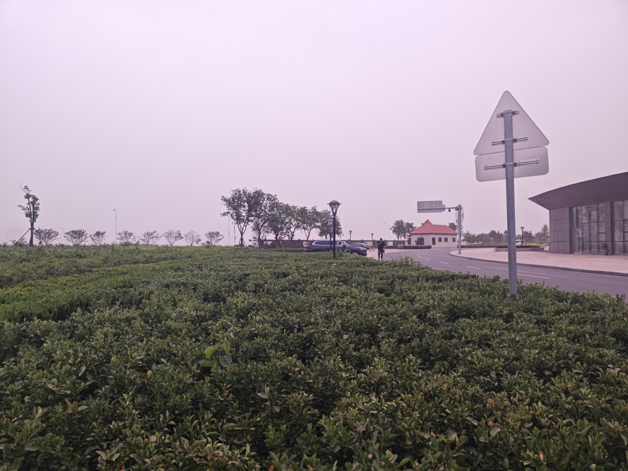 听海广场旅行图片