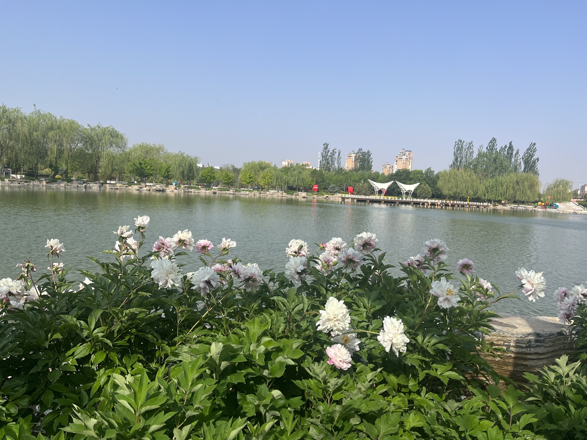 大路公园旅行图片 1