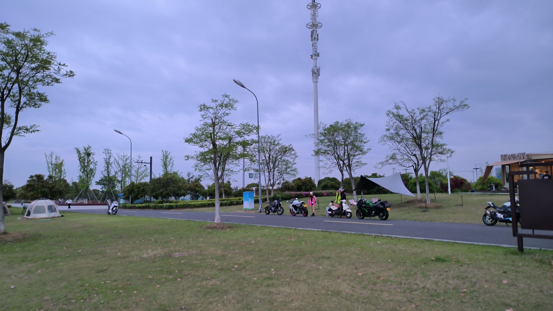 天鹅岛旅行图片 1