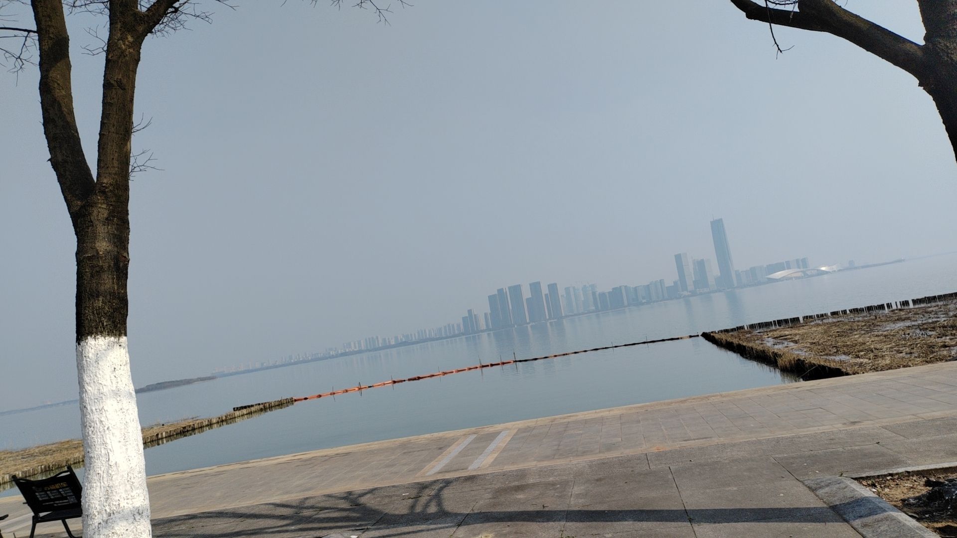 天鹅岛旅行图片 2