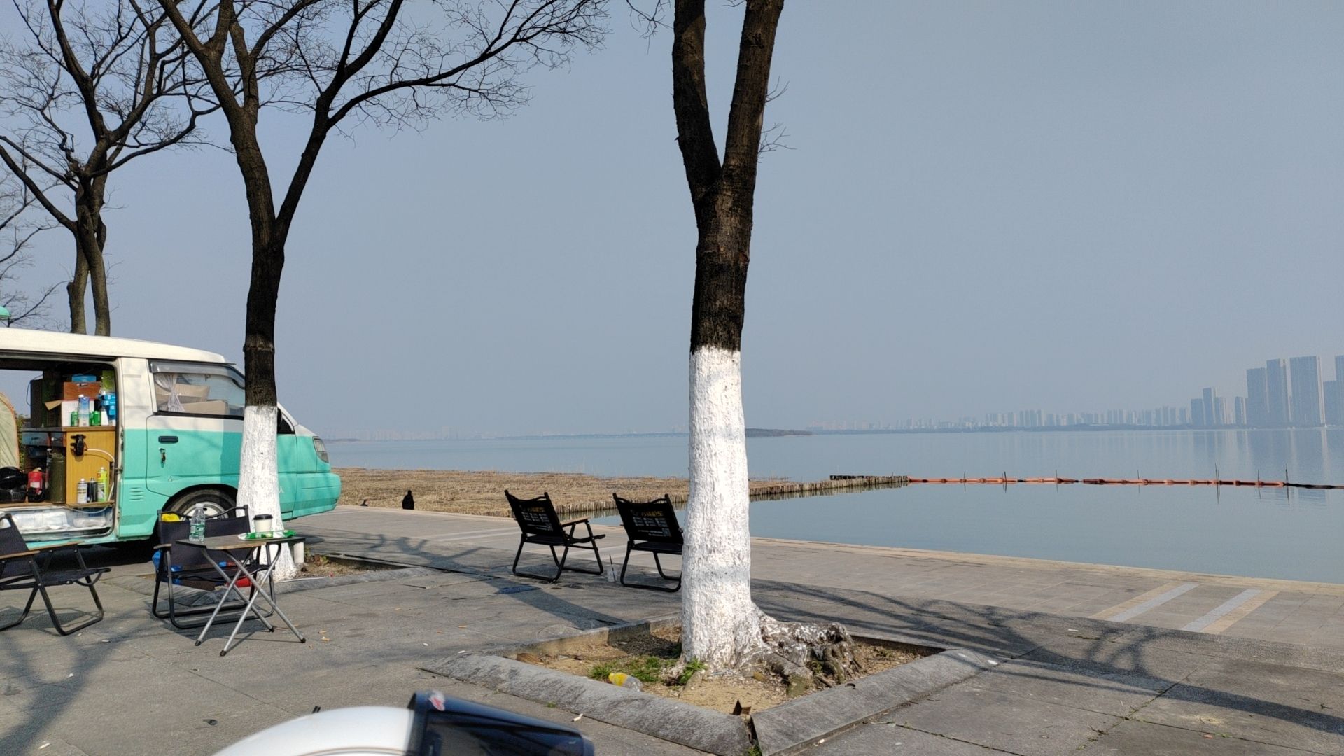 天鹅岛旅行图片 3
