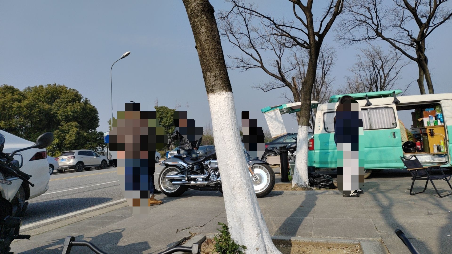 天鹅岛旅行图片 1