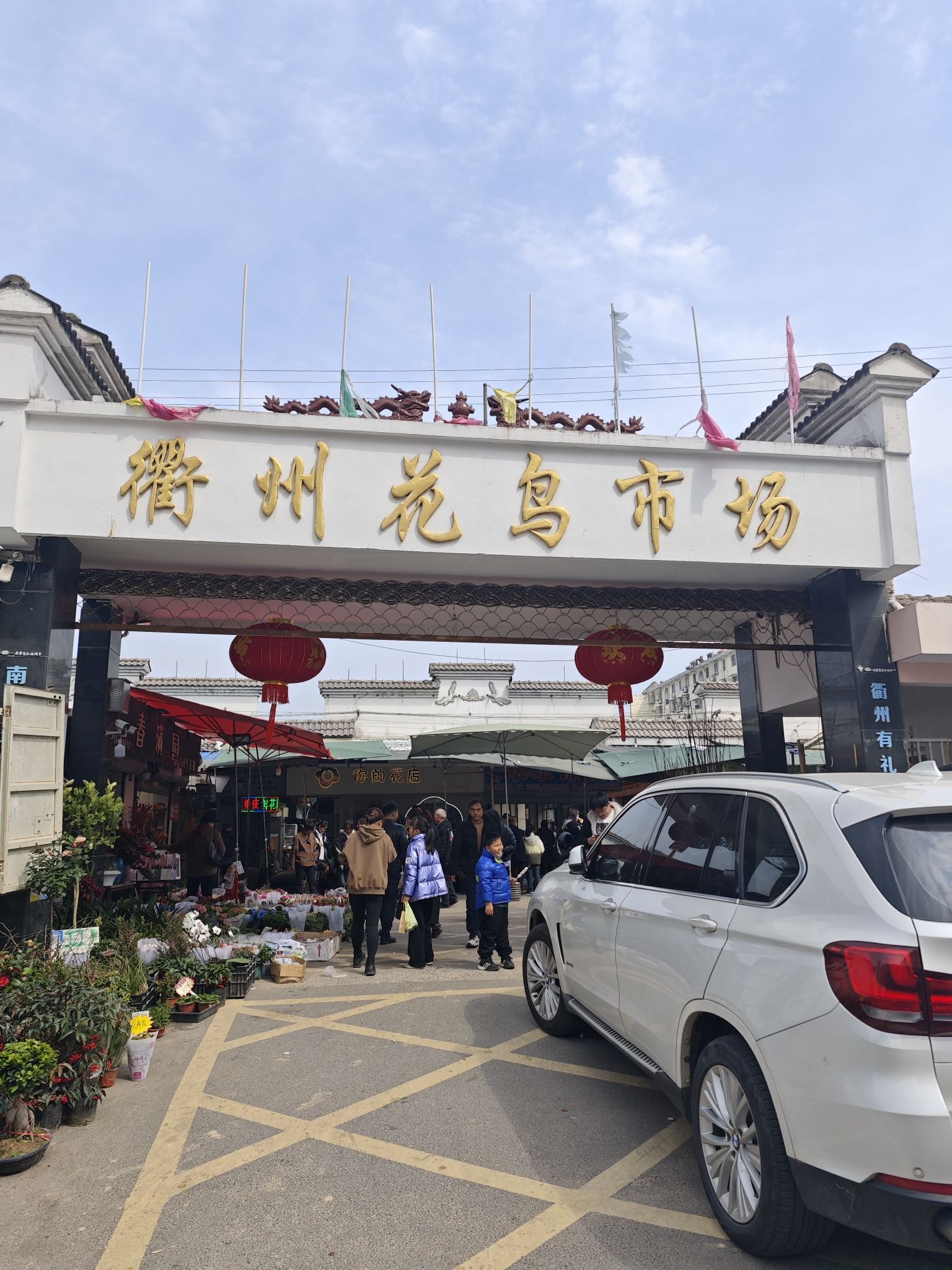 衢州市花鸟市场