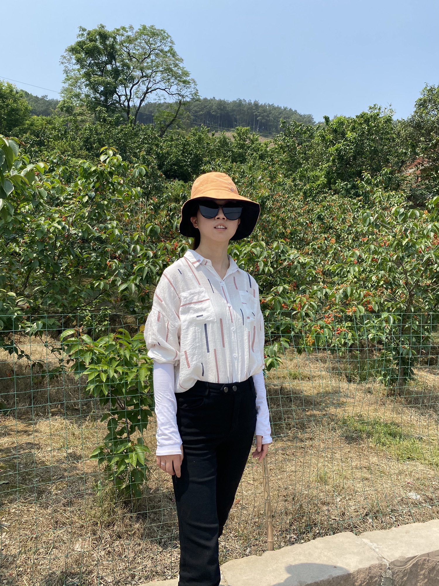 云雾山樱桃谷旅行图片 3