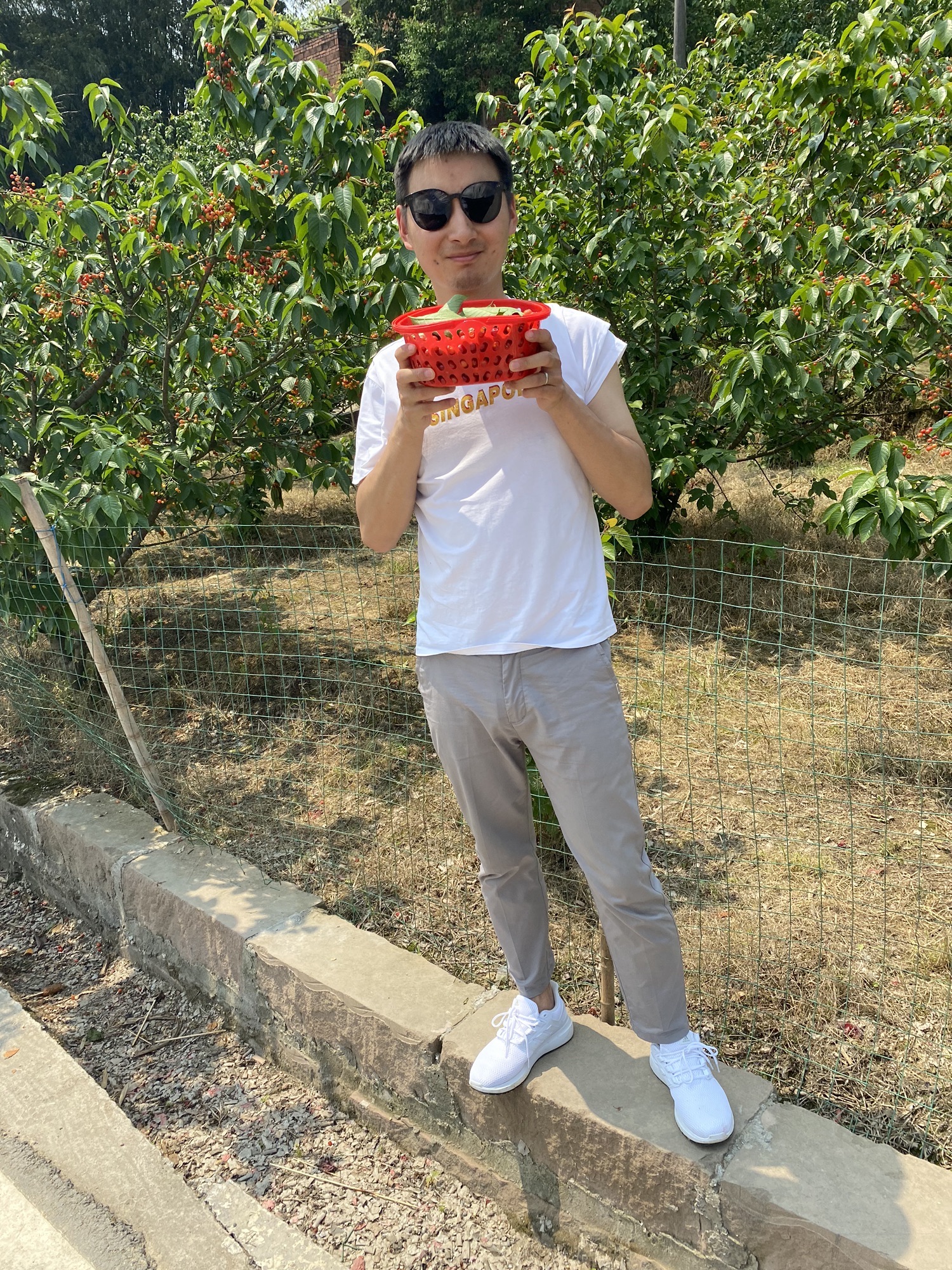 云雾山樱桃谷旅行图片 2