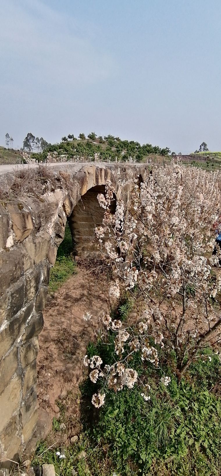 云雾山樱桃谷旅行图片 3