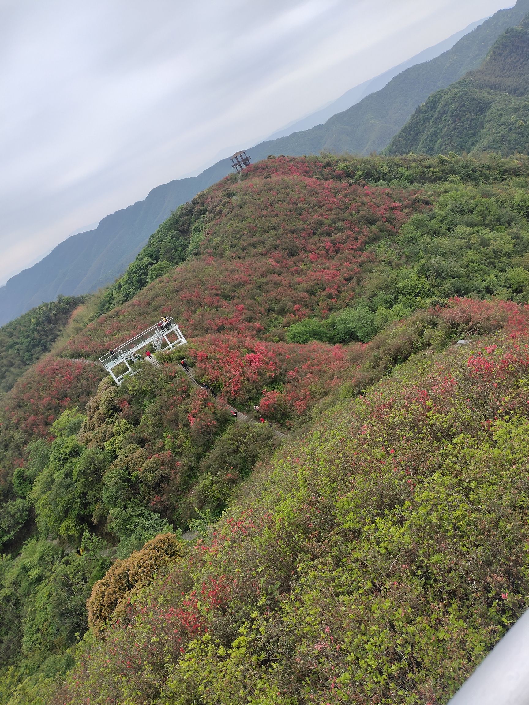 广寒寨四八门映山红景区旅行图片 1