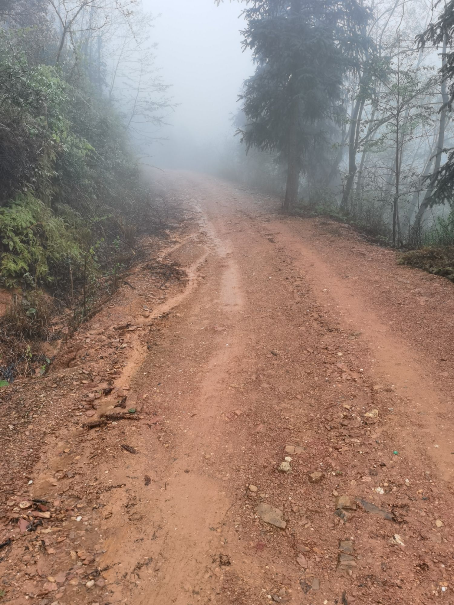 广寒寨四八门映山红景区旅行图片 1