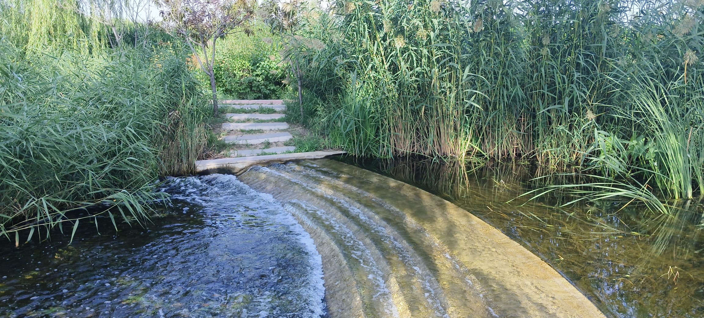 古城湾人工湿地