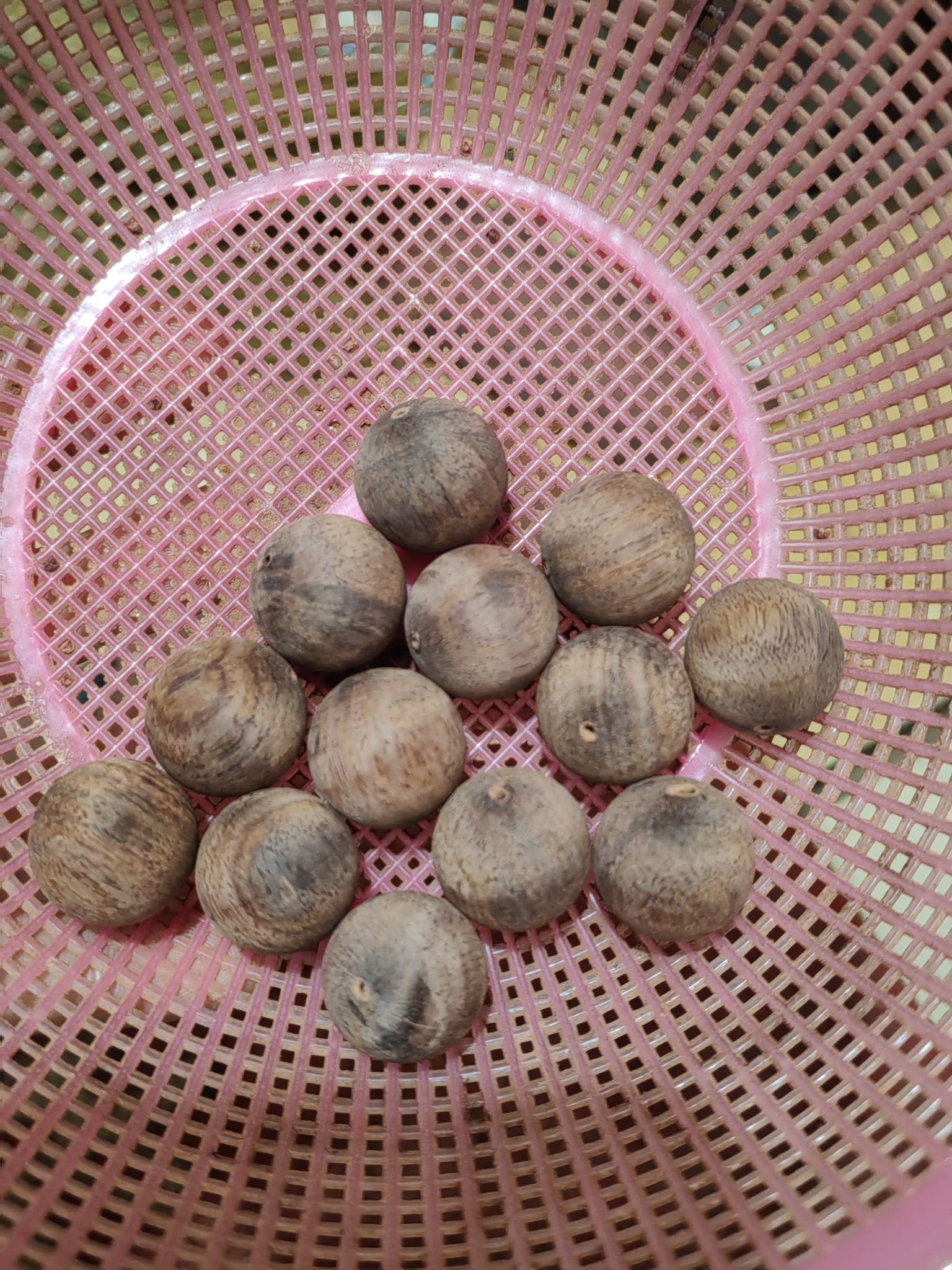 嘉木阁海南黄花梨沉香(庄园丽都小区店)