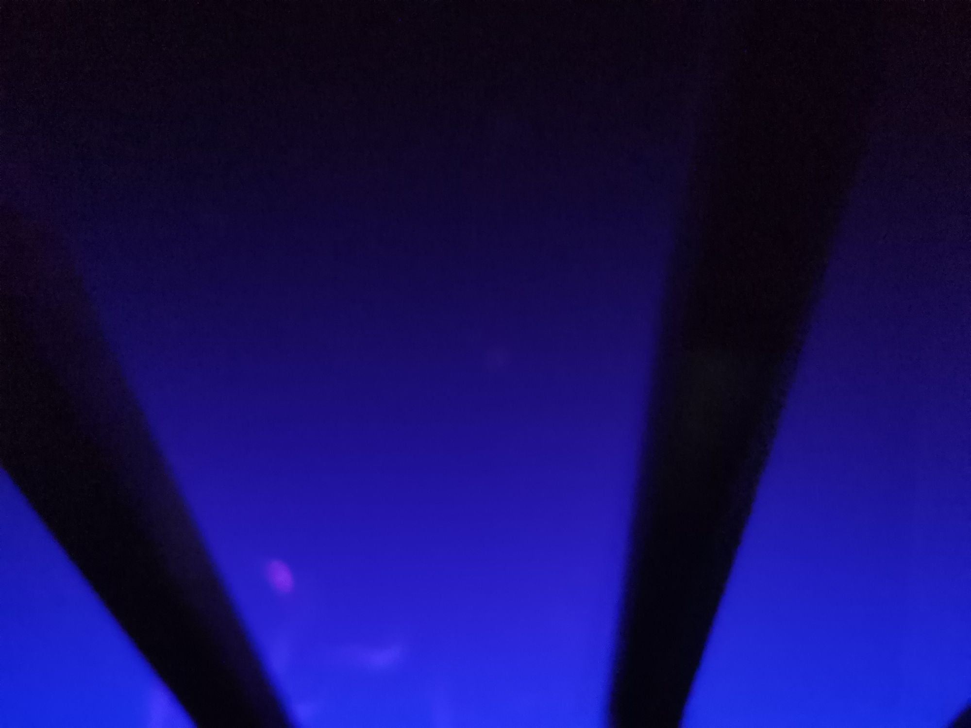 小沙河明月园旅行图片 2