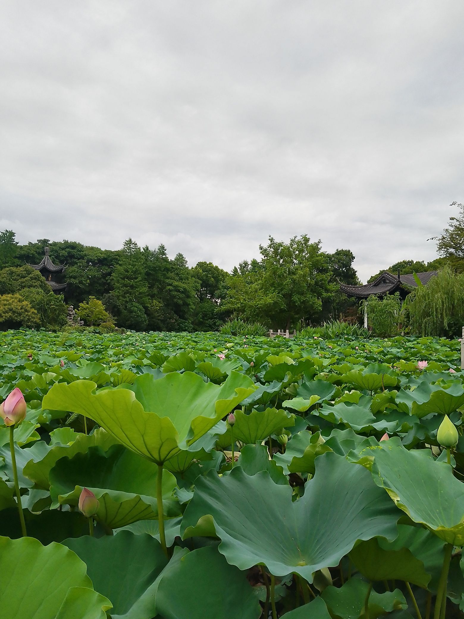 唐平湖风景区旅行图片 2